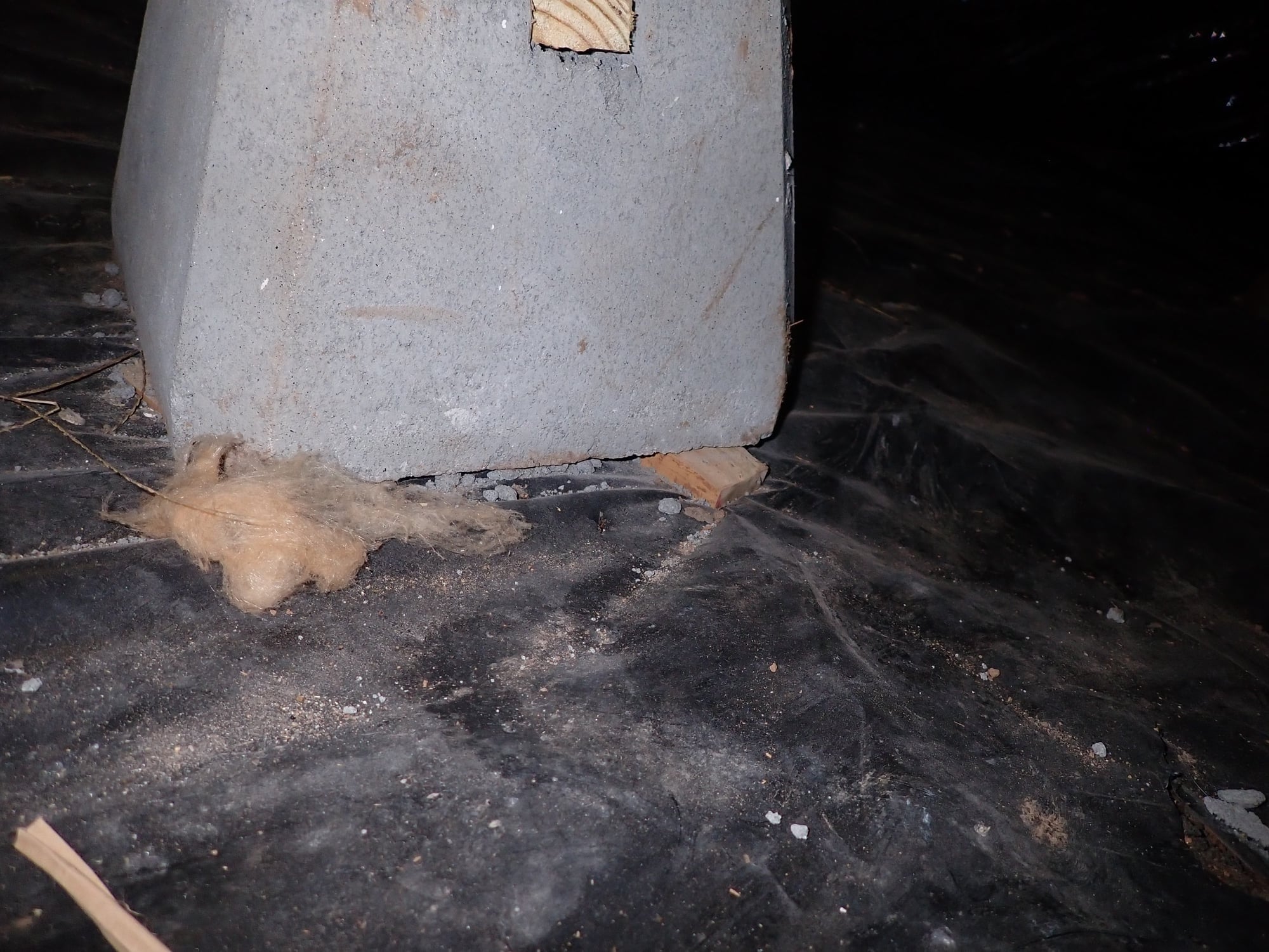 Concrete pier block on a vapor barrier with scrap wood shim under one corner