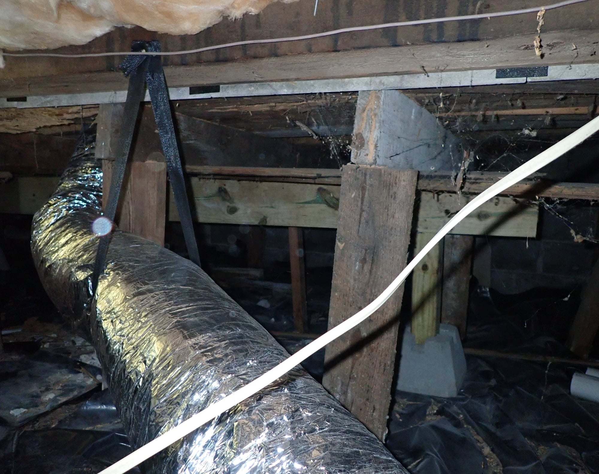Crawlspace view of mixed posts and props under damaged floor framing