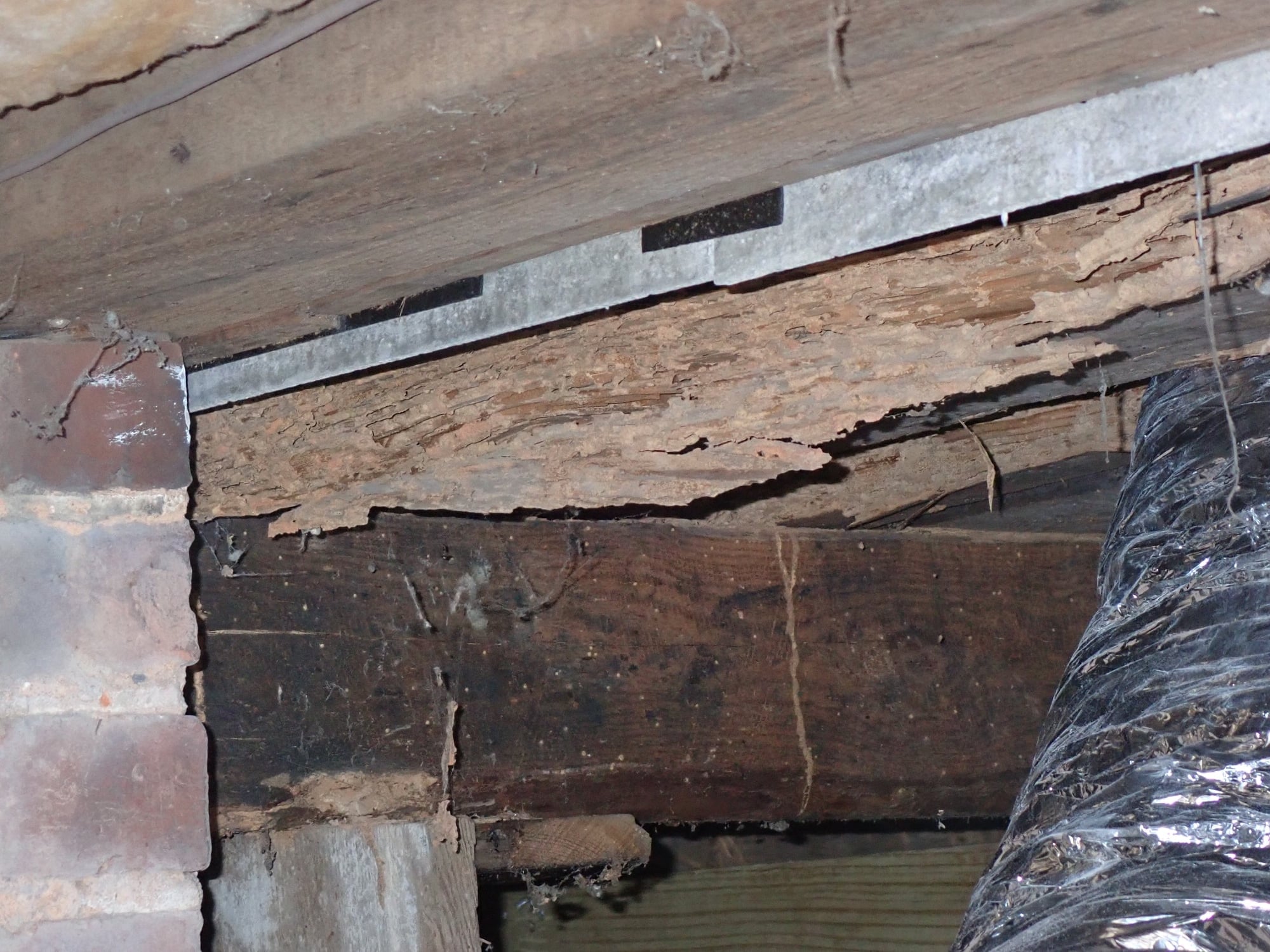 Close-up of a severely damaged floor framing member with extensive wood loss at a masonry pier