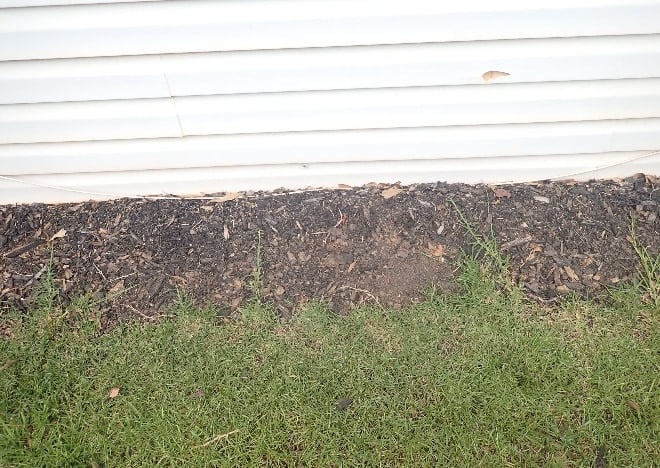 Bottom edge of white horizontal siding meeting a dark mulch bed with little clearance above the landscaping