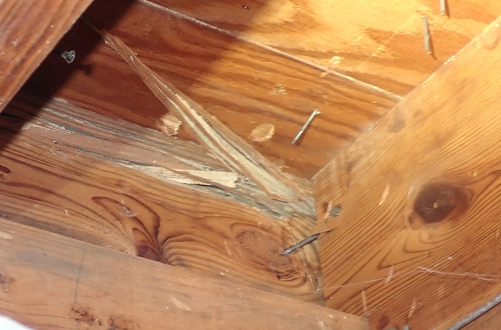 Alternate close-up of termite-damaged floor framing with layered wood loss